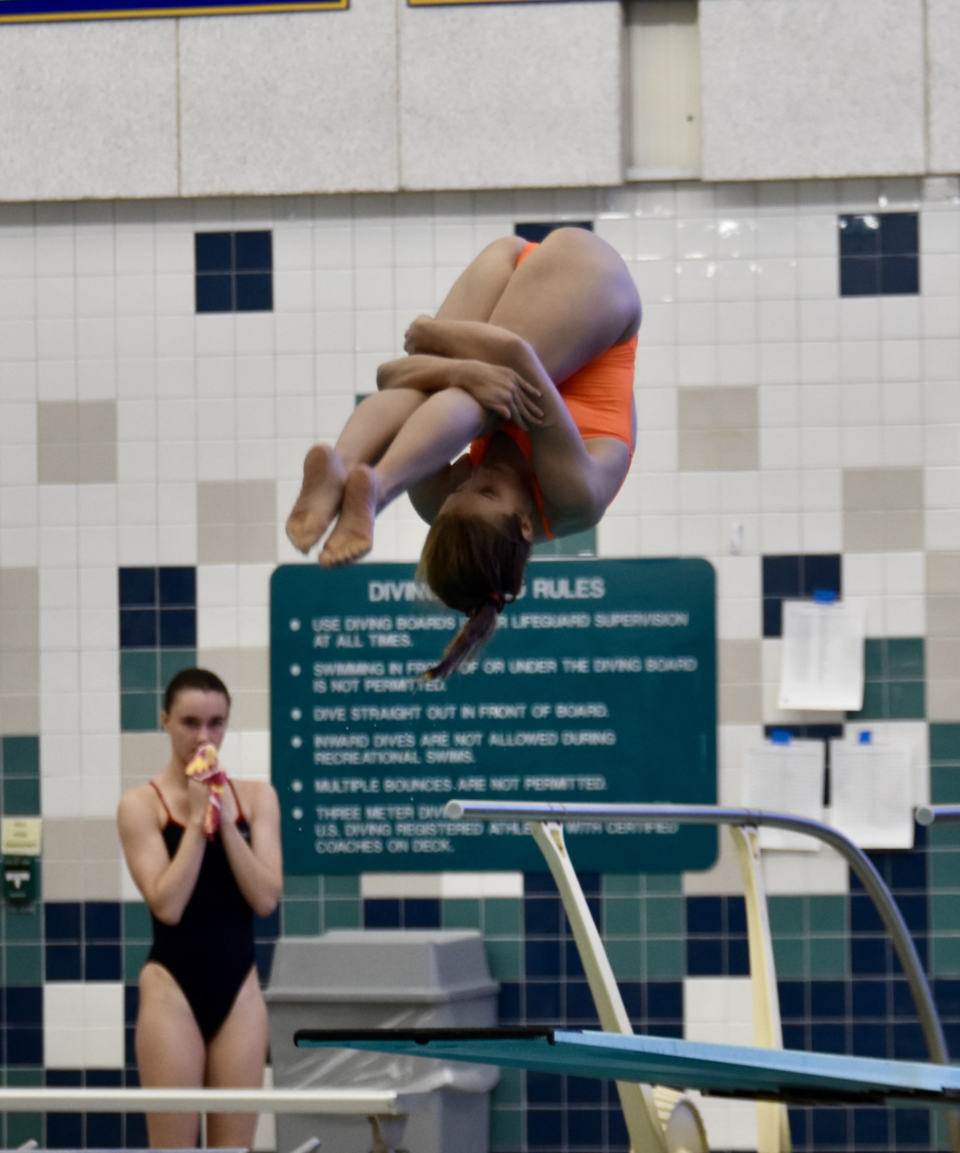 Driven diver News, Sports, Jobs Observer Today